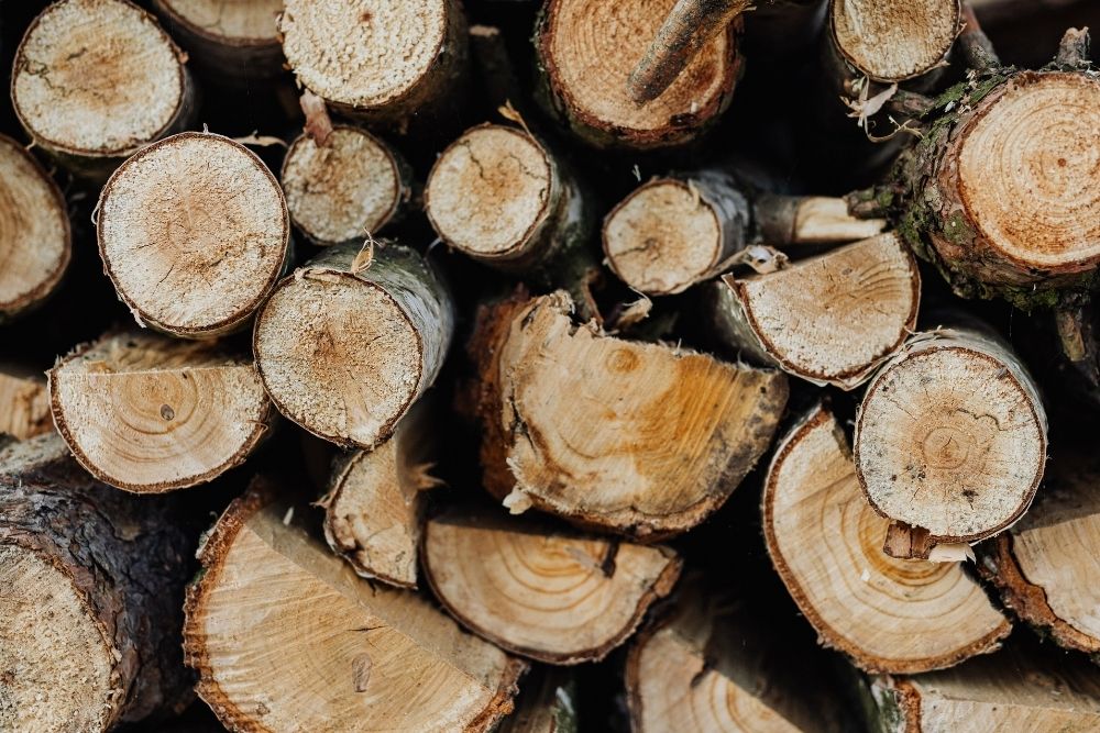 Tipos de madera: ¿cuáles son las más utilizadas?